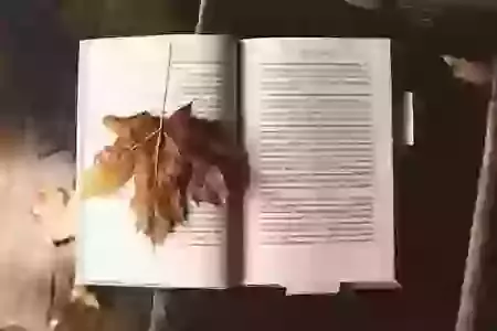 Book Club